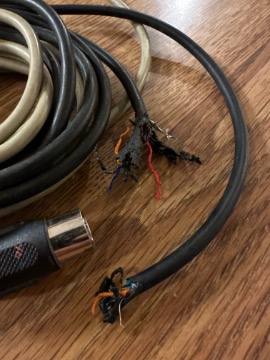 A printer cable, chewed by one naughty ram.